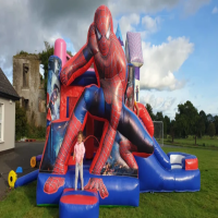 Take Fun to New Heights with Our Giant Bouncy Castles with Slides